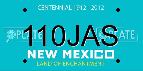 110JAS New Mexico License Plate