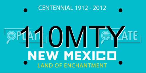 110MTY New Mexico License Plate
