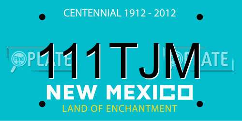 111TJM New Mexico License Plate
