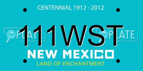 111WST New Mexico License Plate