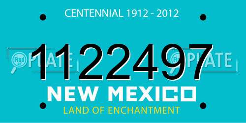 1122497 New Mexico License Plate