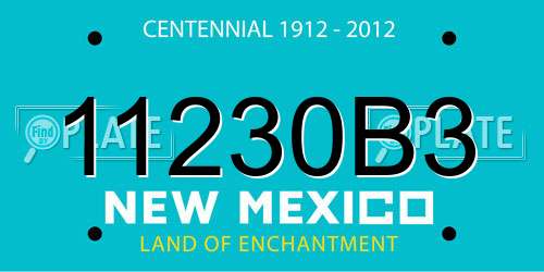 11230B3 New Mexico License Plate