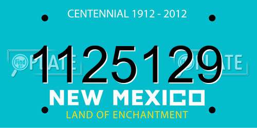 1125129 New Mexico License Plate