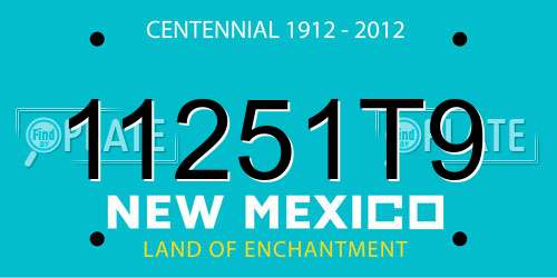 11251T9 New Mexico License Plate