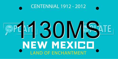 1130MS New Mexico License Plate
