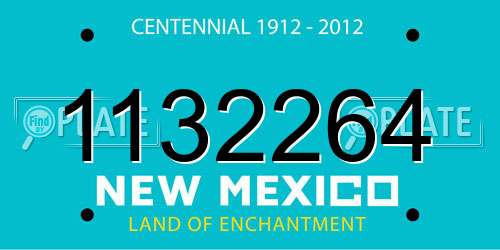 1132264 New Mexico License Plate