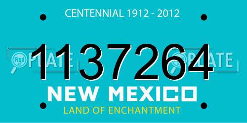 1137264 New Mexico License Plate