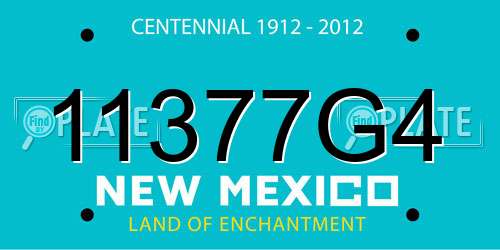 11377G4 New Mexico License Plate
