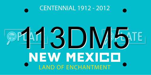 113DM5 New Mexico License Plate