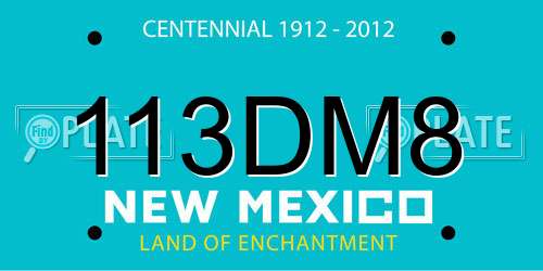 113DM8 New Mexico License Plate