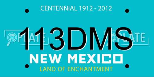 113DMS New Mexico License Plate