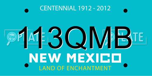113QMB New Mexico License Plate