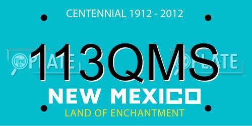 113QMS New Mexico License Plate