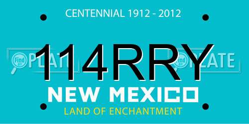114RRY New Mexico License Plate