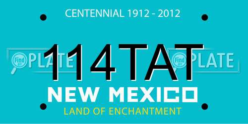 114TAT New Mexico License Plate