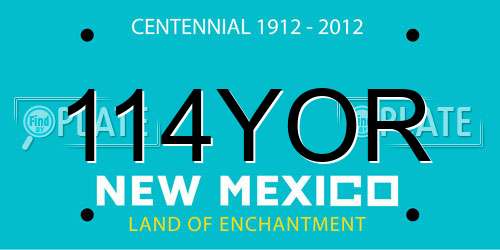 114YOR New Mexico License Plate