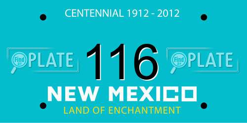 116 New Mexico License Plate