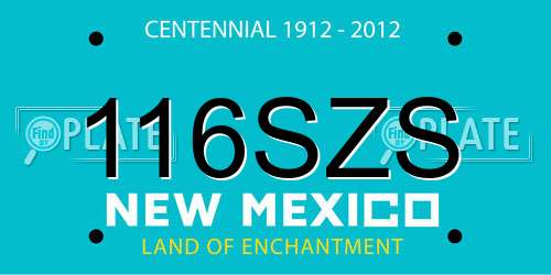 116SZS New Mexico License Plate