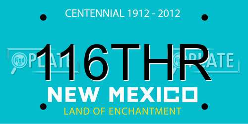 116THR New Mexico License Plate