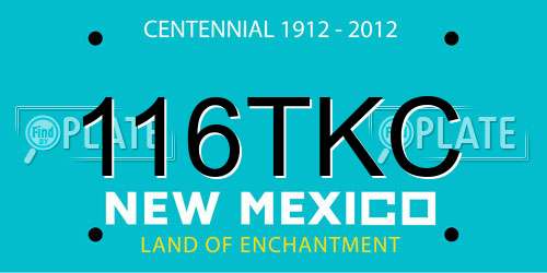116TKC New Mexico License Plate