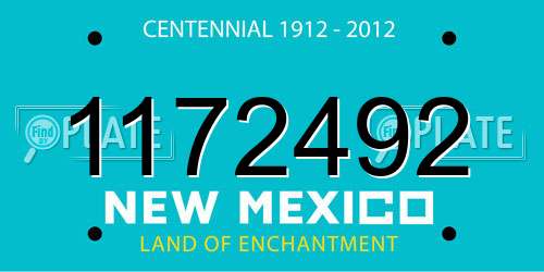1172492 New Mexico License Plate