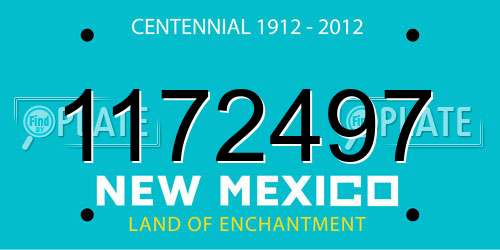 1172497 New Mexico License Plate