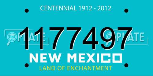 1177497 New Mexico License Plate