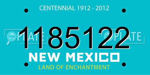 1185122 New Mexico License Plate