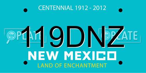 119DNZ New Mexico License Plate