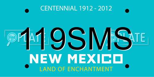 119SMS New Mexico License Plate