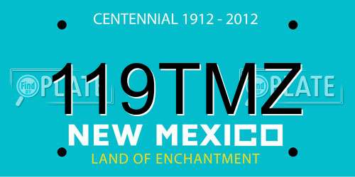119TMZ New Mexico License Plate