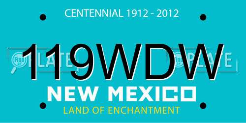 119WDW New Mexico License Plate