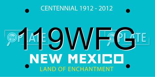 119WFG New Mexico License Plate