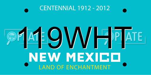 119WHT New Mexico License Plate