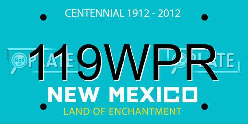 119WPR New Mexico License Plate
