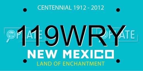 119WRY New Mexico License Plate