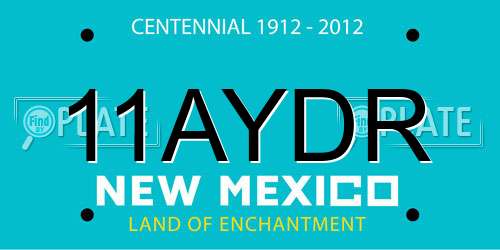 11AYDR New Mexico License Plate