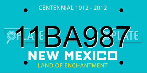 11BA987 New Mexico License Plate