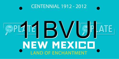 11BVUI New Mexico License Plate