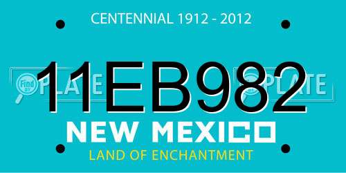 11EB982 New Mexico License Plate