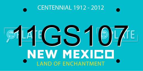 11GS107 New Mexico License Plate