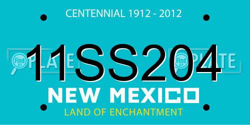 11SS204 New Mexico License Plate