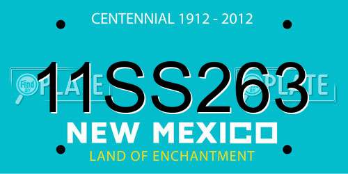 11SS263 New Mexico License Plate