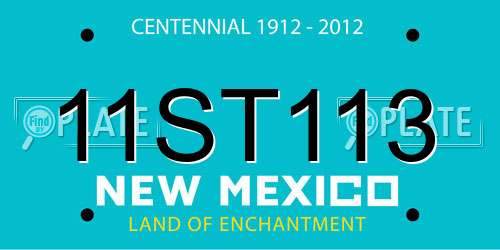 11ST113 New Mexico License Plate