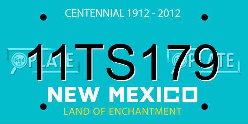 11TS179 New Mexico License Plate