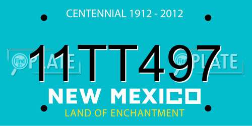 11TT497 New Mexico License Plate