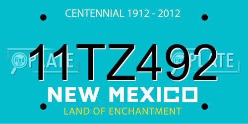 11TZ492 New Mexico License Plate