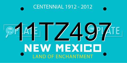 11TZ497 New Mexico License Plate