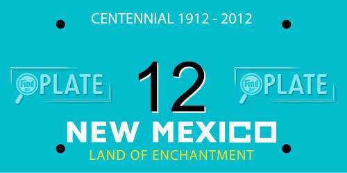 12 New Mexico License Plate