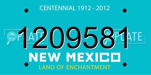 1209581 New Mexico License Plate